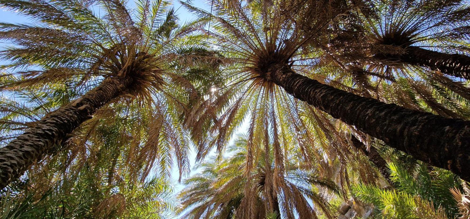 Villa Erofili Plakias South Rethimno Crete Asomatoi Buitenkant foto